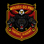 Wolves Football Academy